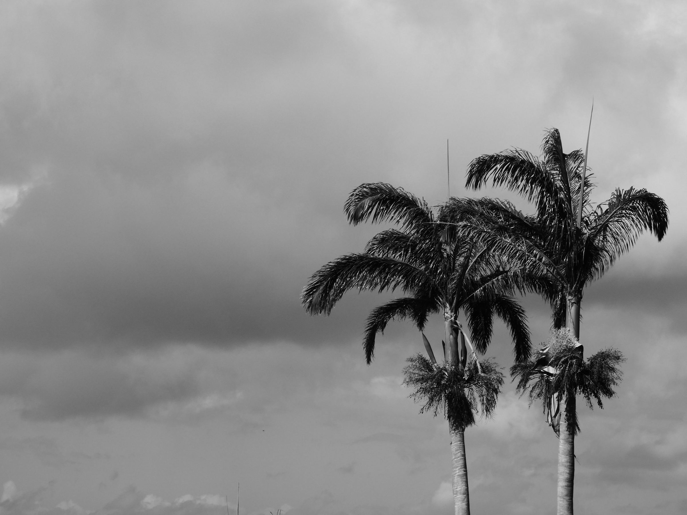 08DC3A93-00CF-4F83-B24C-07EBCD55AC40